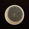 Graines de nigelle (50g) – Image 3